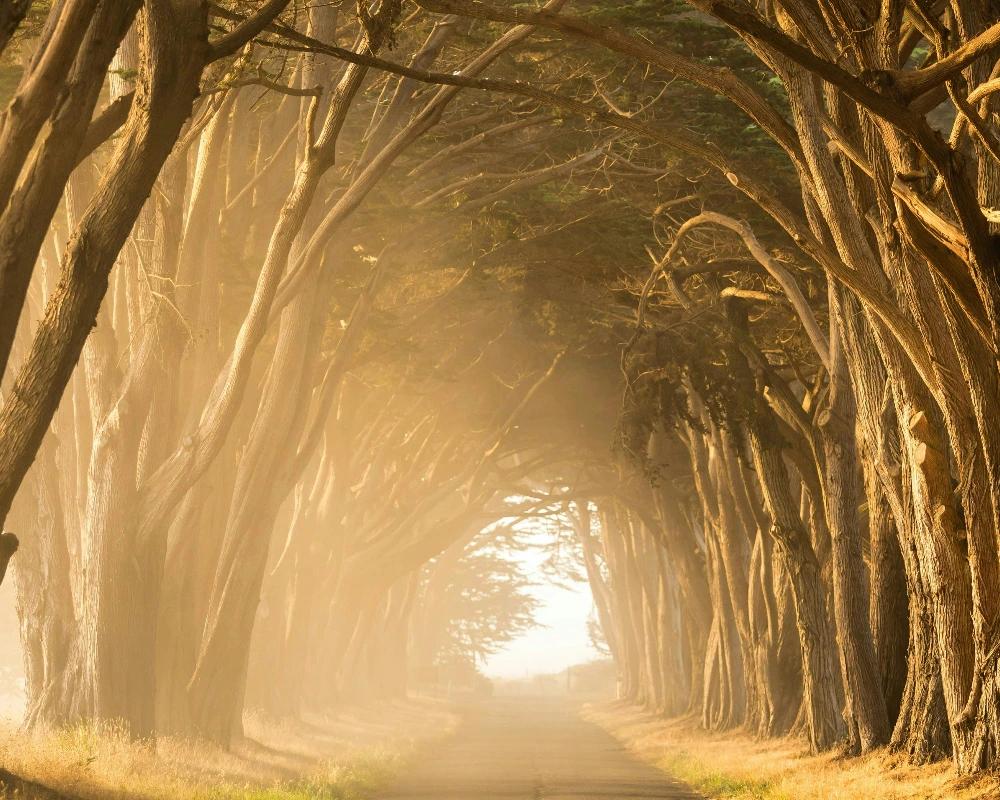 Operujeme také v Galerie Medical Center Kladno